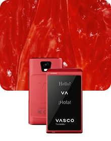 [camper_tour.colors.color4.img1.alt]